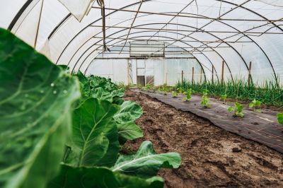 Service Locations for Greenhouse Installation
