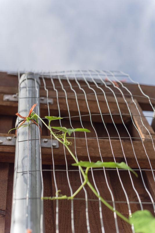Garden Trellis Installation in Wilmington, NC