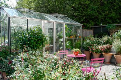Greenhouse Interior