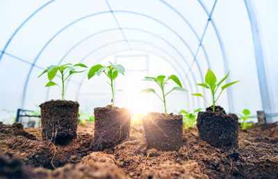 Structured Frameworks