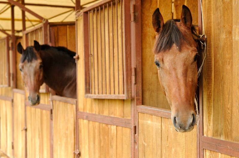 Stable Repair in Kansas City, KS